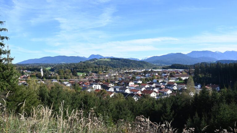 Blick über ein Wohngebiet mit Einfamilienhäusern, Wald und Bergen im Hintergrund